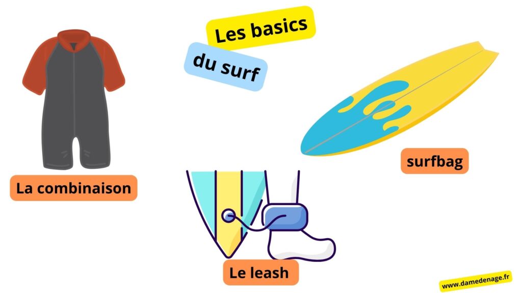 les basiques du surf