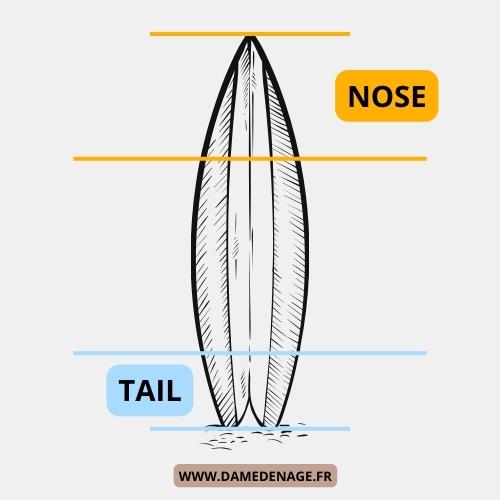 nose et tail d'une planche de surf