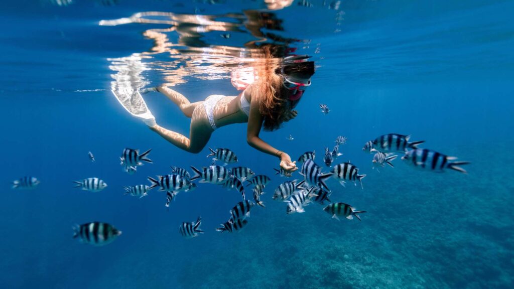 Snorkeling 